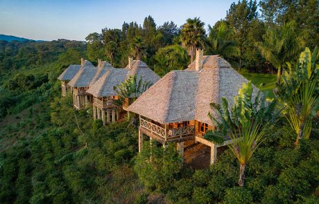 Ngorongoro: Neptune Ngorongoro Luxury Lodge